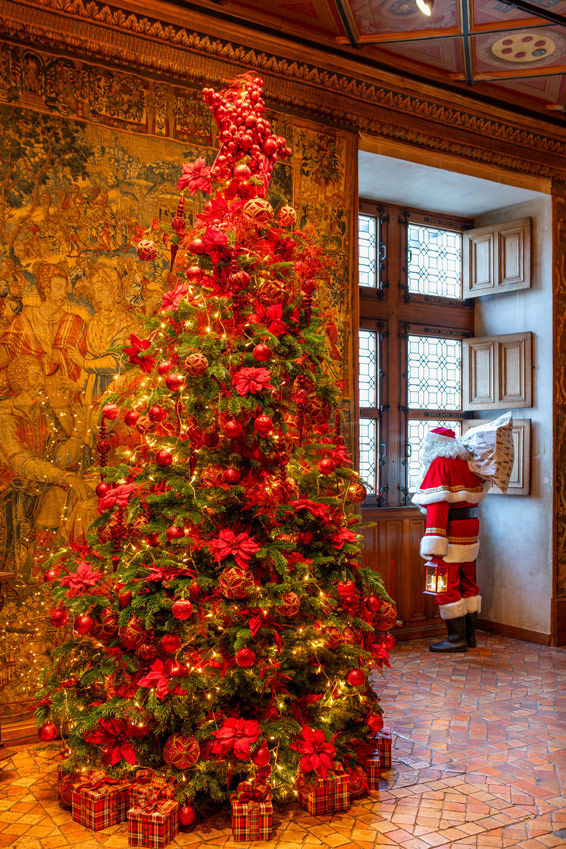 Découvrez nos box de Noël